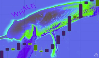 NeoFifTy8 WHALE Impressive Opal