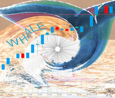 NeoFifTy8 WHALE Power Moonstone